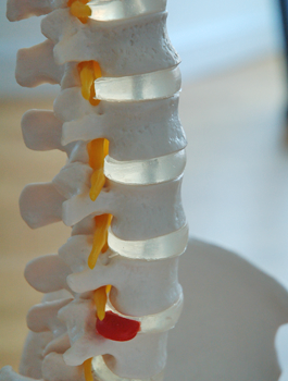 Osteopathic Spine Manipulations